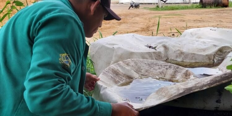 Amazonas tem quase 3 mil casos de dengue em 2025