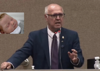 Bebê Reborn - Mitoso