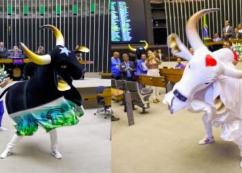 Festival de Parintins: bois Caprichoso e Garantido são homenageados na Câmara dos Deputados