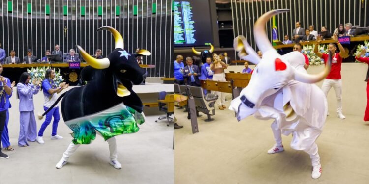 Festival de Parintins: bois Caprichoso e Garantido são homenageados na Câmara dos Deputados