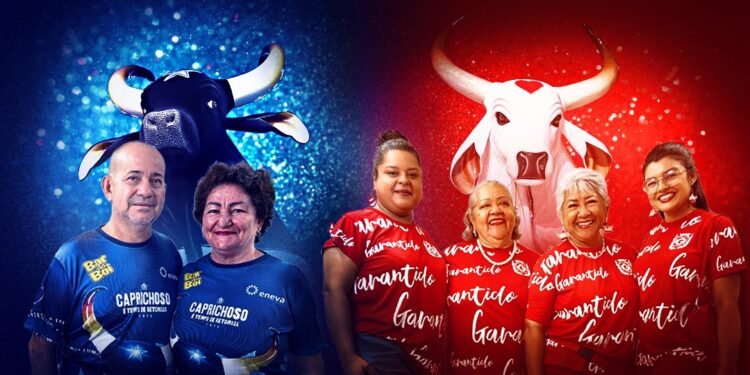 Famílias Moraes e Seabra vivem intensamente a temporada bovina (Arte: Abraão Torres/Rios de Notícias)