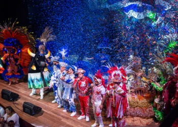 Festival de Parintins - Segurança