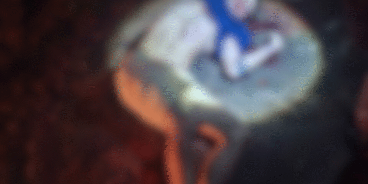 Jovem com os pés amarrados é executado a tiros em carro na zona Oeste de Manaus