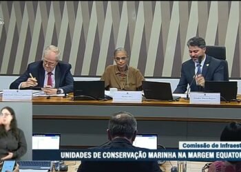 Marina Silva - Vereadores