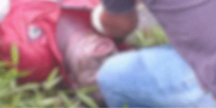 Vídeos: corpo é encontrado boiando nas proximidades de ponte no Amazonas