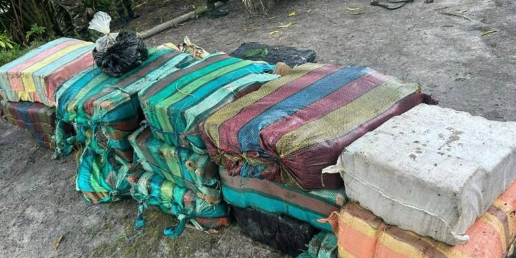 Militares apreendem 868 kg de maconha skunk escondidos em área de mata no interior do Amazonas