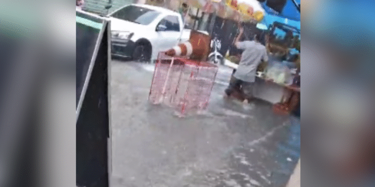 alaga-feira-manaus-sao-jose