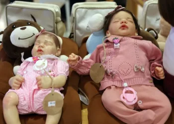 bebes-reborns-licenca