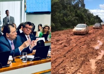 'Visão retrógrada': Braga culpa Ministério de Marina Silva por travar asfaltamento da BR-319