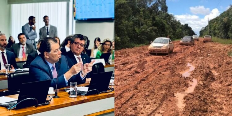 'Visão retrógrada': Braga culpa Ministério de Marina Silva por travar asfaltamento da BR-319