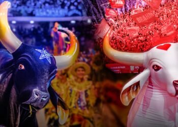 Bois Caprichoso e Garantido são os protagonistas do Festival de Parintins (Arte: Abraão Torres/Rios de Notícias)