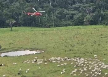 Agentes do ICMBio sofrem atentados em reserva no Acre