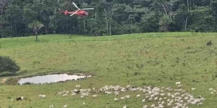 Agentes do ICMBio sofrem atentados em reserva no Acre