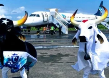 Amazon Best anuncia últimos voos disponíveis para Parintins com operação especial da Azul