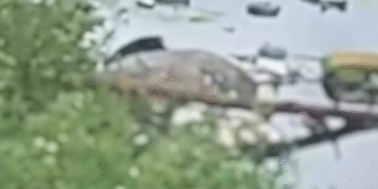 Corpo boiando - Cachoeirinha