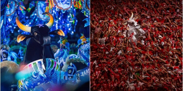 Festival de Parintins seguirá com transmissão da TV A Crítica em 2026, afirma Dissica Calderaro