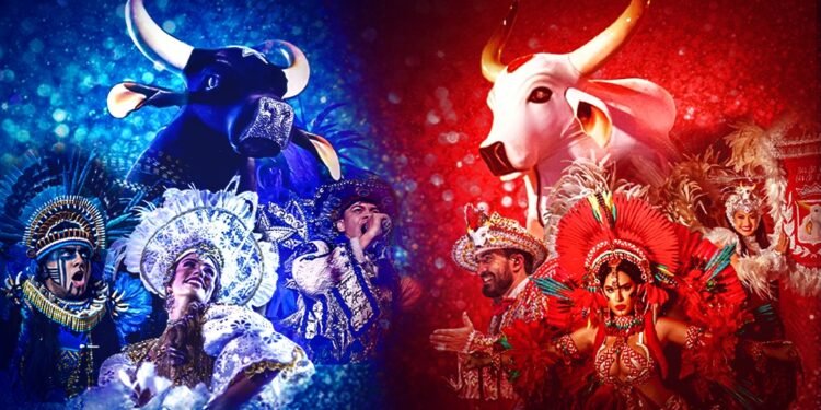 Itens individuais dos Bois de Parintins (Arte: Abraão Torres/Rios de Notícias)