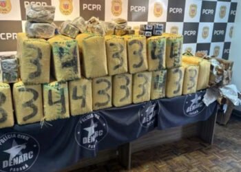 Polícia do Paraná faz a 2ª maior prisão de Haxixe da história do País