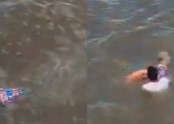 Vídeo: Homem bêbado se joga de barco durante viagem a Parintins