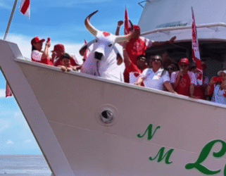 Vídeo caravana do Movimento Amigos do Garantido desembarca em Parintins
