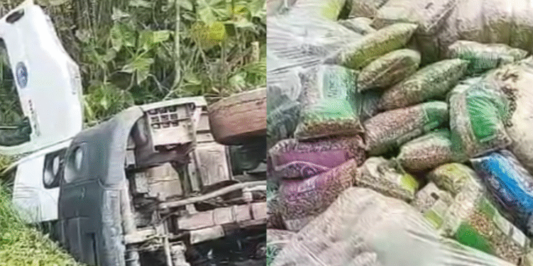 Vídeos caminhão com feijões tomba no interior do Amazonas