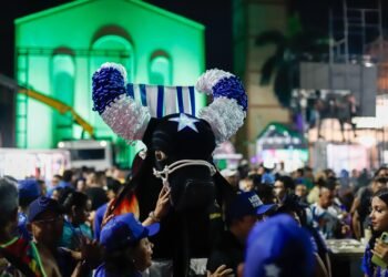 Caprichoso Boi de Rua