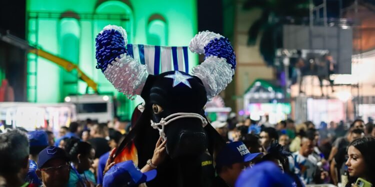 Caprichoso Boi de Rua