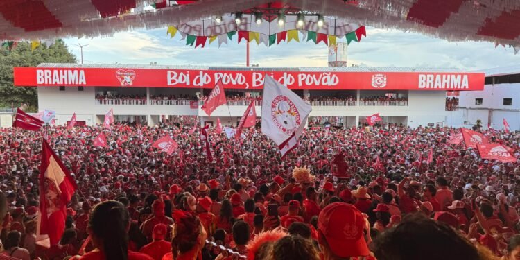 Torcida do Boi da Baixa do São José celebra vitória na Cidade Garantido
