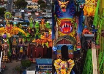 Caprichoso finaliza módulos alegóricos com auxílio de guindastes para o 58º Festival de Parintins