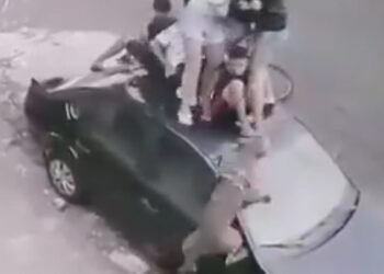 ataque-pitbull-criancas