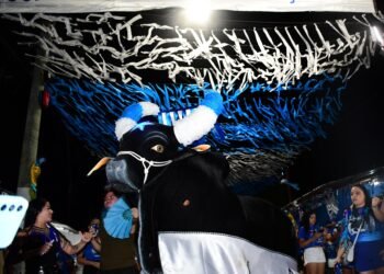 boi-rua-caprichoso-parintins