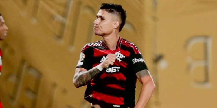 flamengo-luiz-araujo