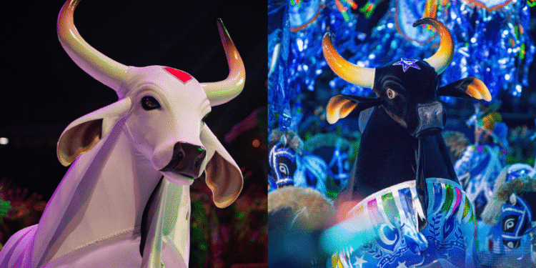 garantido-caprichoso-festival-parintins