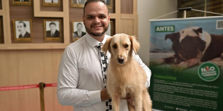 Vereador propõe criar UBSs para pets em Manaus