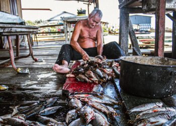 Fala Manaus: Pescadores denunciam abandono e cobram feira no Puraquequara