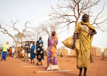 Brasil registra mais de 68 mil pedidos de refúgio em 2024