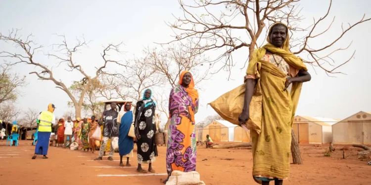 Brasil registra mais de 68 mil pedidos de refúgio em 2024