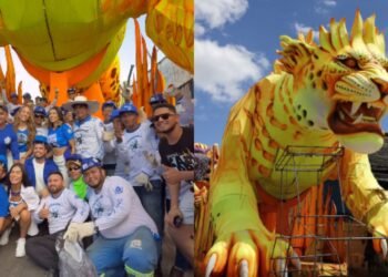 translado caprichoso