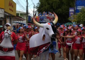 triopanavueiro-parintins