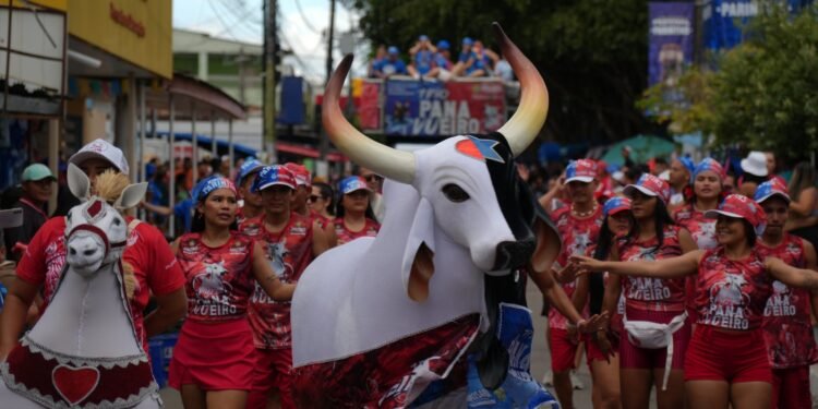 triopanavueiro-parintins