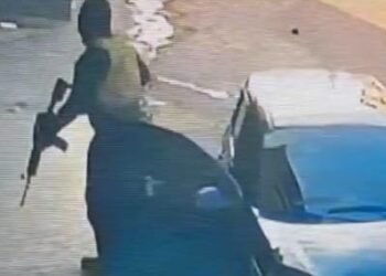 Assalto - Terra Nova