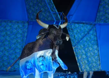 Boi Brilhante é campeão do Festival Folclórico do Amazonas com o tema “Terra-Folclore”