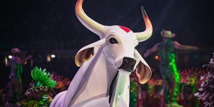 Festival Folclórico e #Toadas e agitam fim de semana em Manaus