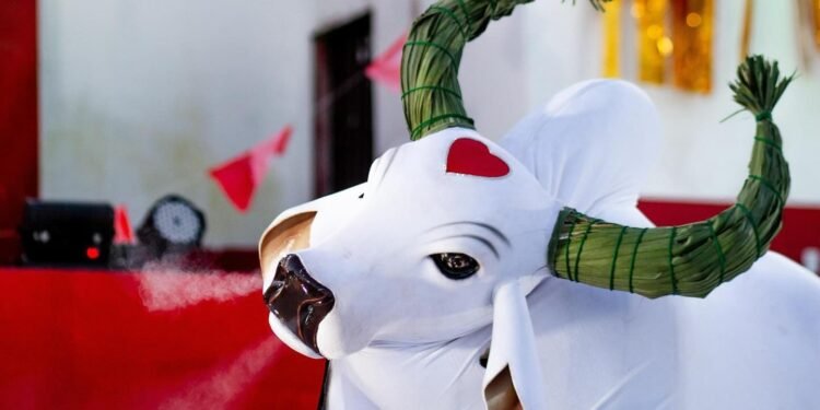 Boi Garantido realizou a tradicional Matança do Boi (Foto: Divulgação/Yasmim Cadore - Boi Garantido)