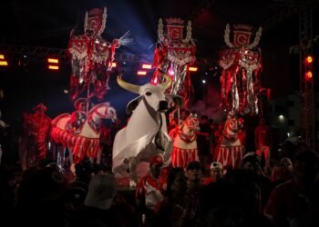 Garantido - Padroeira