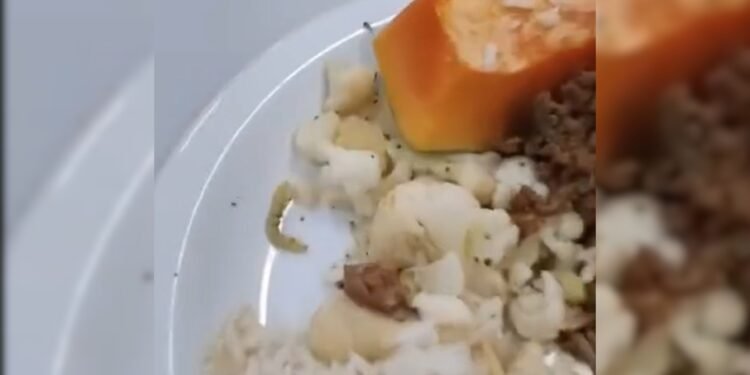 Hapvida Alimentação