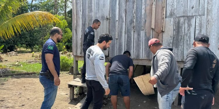 Homem é preso suspeito de matar morador na zona rural de Santo Antônio do Içá