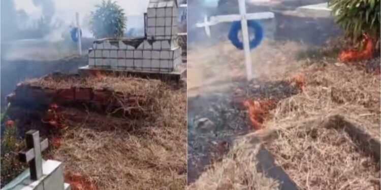 Fogo atinge quadras de cemitério em Manaus; velas acesas são apontadas como causa