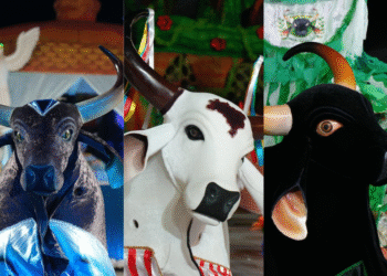 bois-manaus-festival