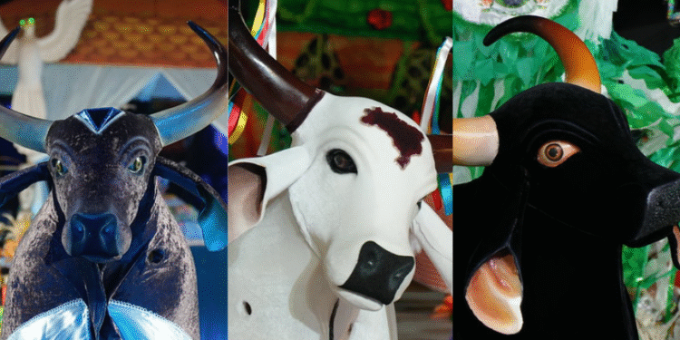 bois-manaus-festival